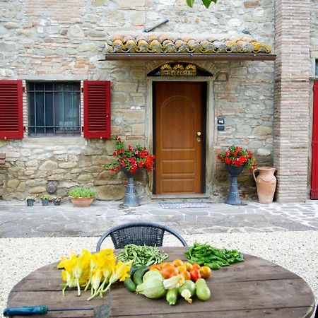 Casa Donella B&B Gricignano Extérieur photo